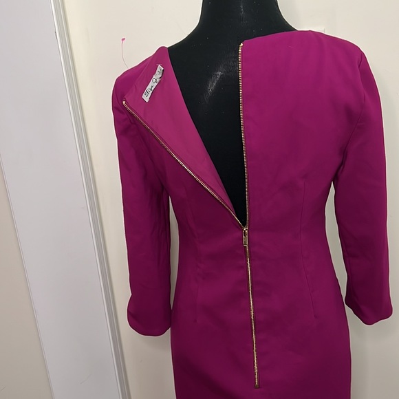 Eliza J Fushia Color Sheath Gold Zipper Lined Dress Size 4 - Picture 8 of 9